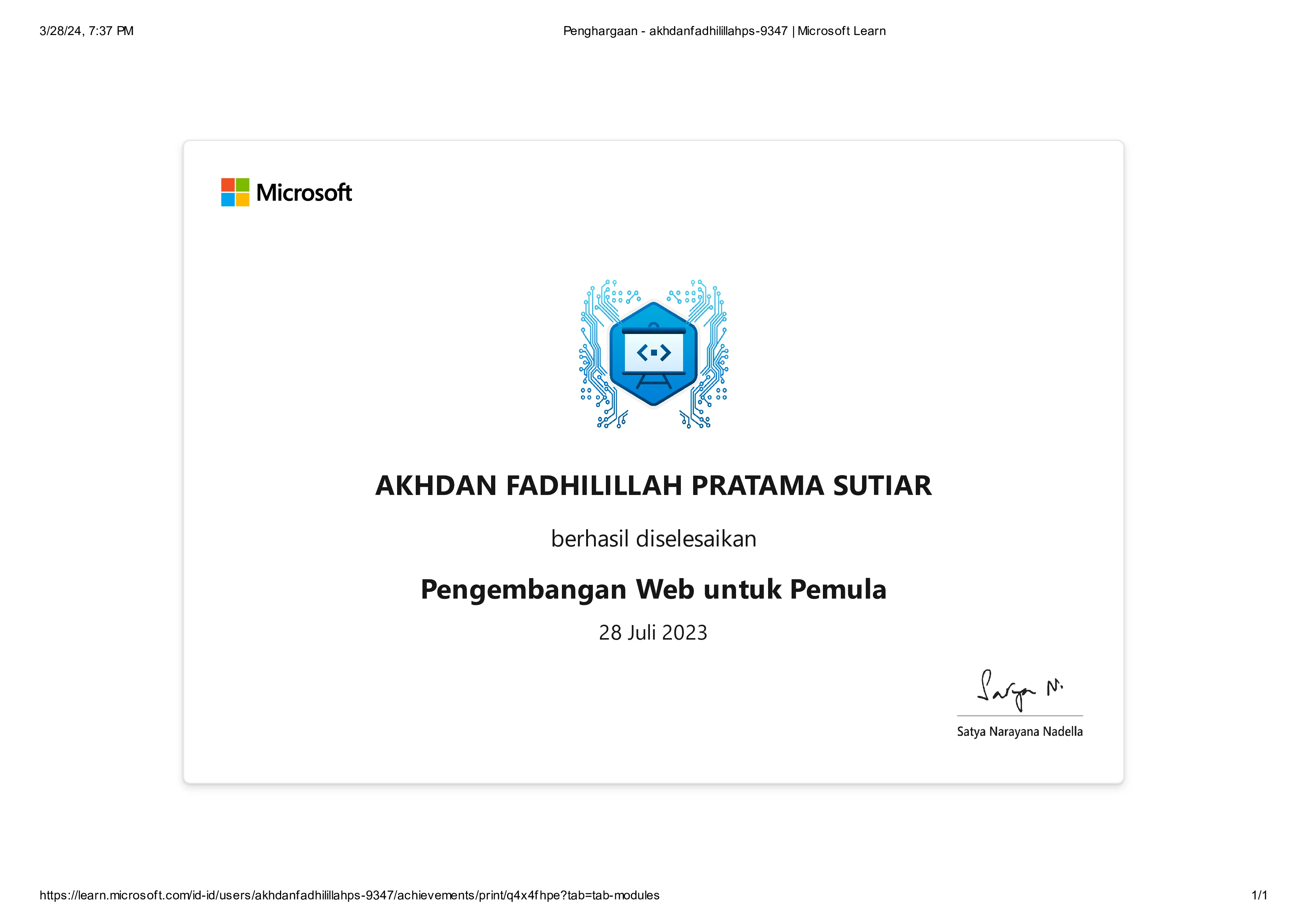 Developer